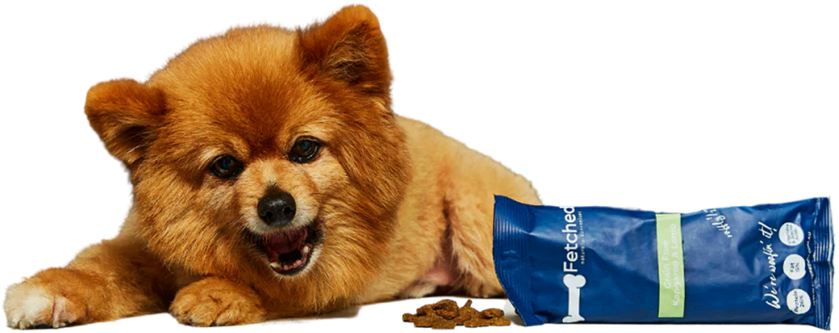 Small dog lying next to a blue pet food package on a white background