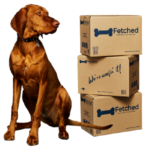 Brown dog sitting next to stacked 'Fetched' boxes on a white background