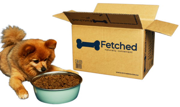 Picture of a dog in front of a bowl full of food and a box beside